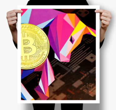 Crypto Guy